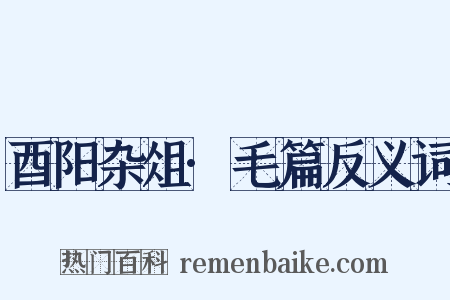酉阳杂俎·毛篇反义词是什么意思的图片
